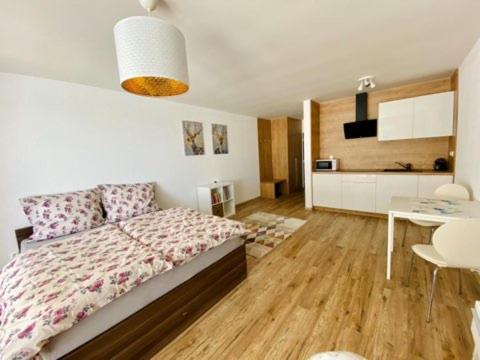 Dream Apartman ボイニツェ エクステリア 写真